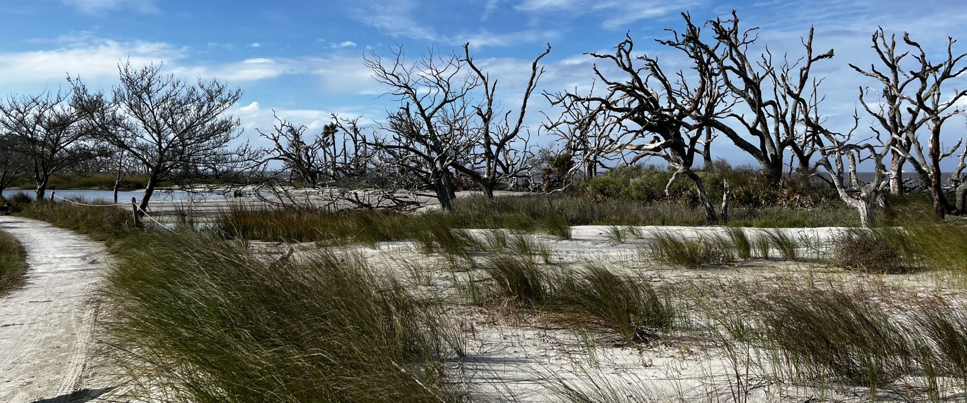 Exploring Georgia's Barrier Islands