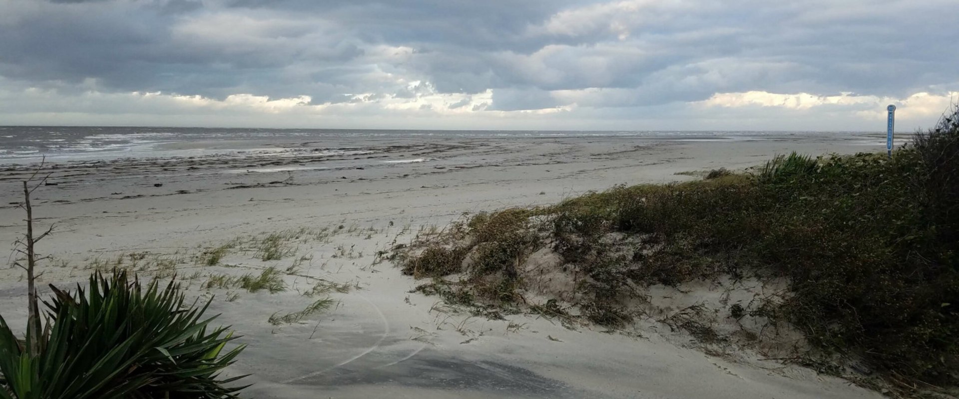 Exploring the Beaches of St. Simons Island