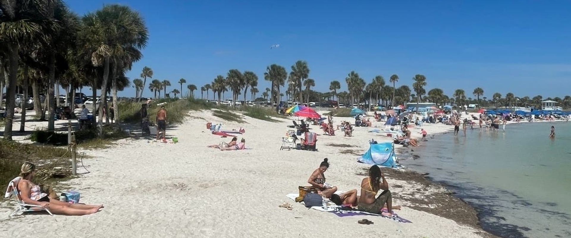 Exploring the Gems of Georgia: Tybee Island vs Jekyll Island