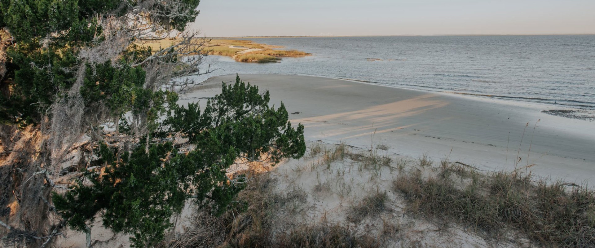 Exploring Georgia's Barrier Islands: A Guide for Nature Lovers