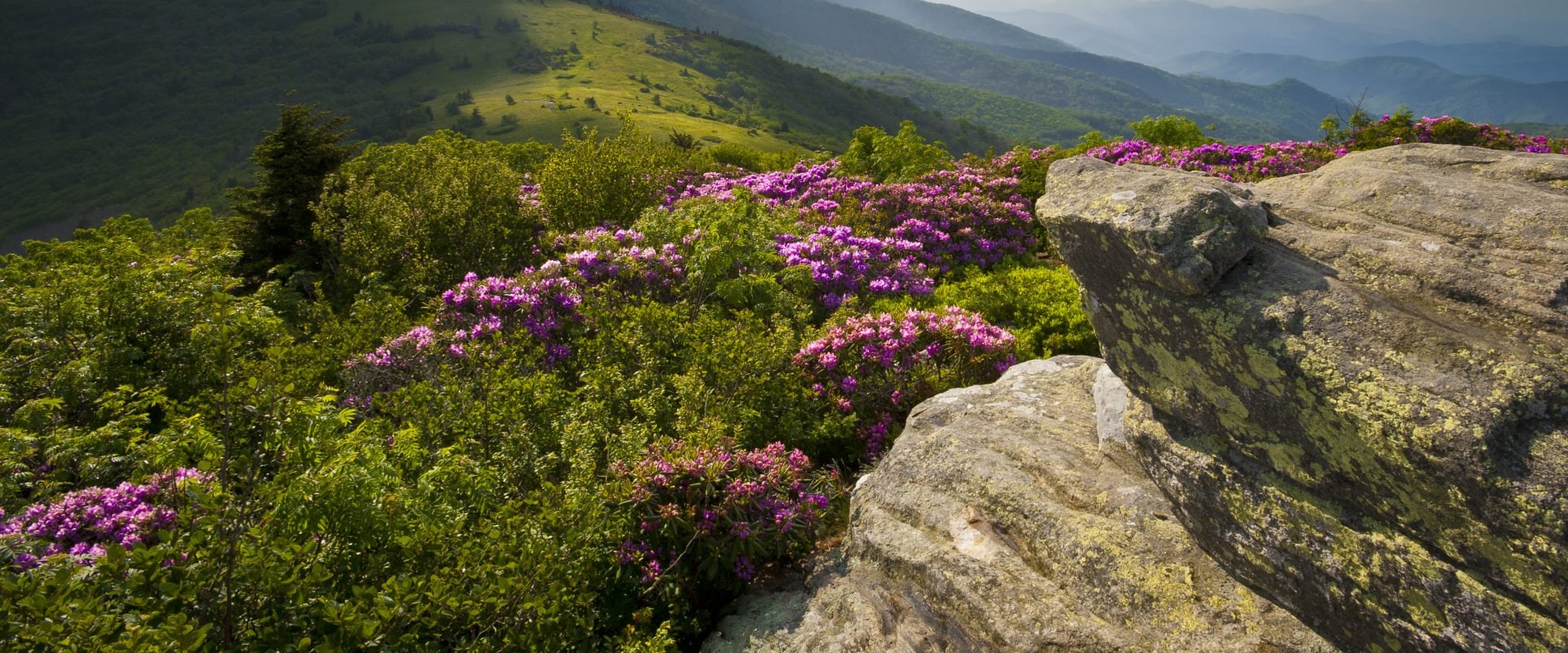 Exploring the Best Hiking Trails in the Southern US