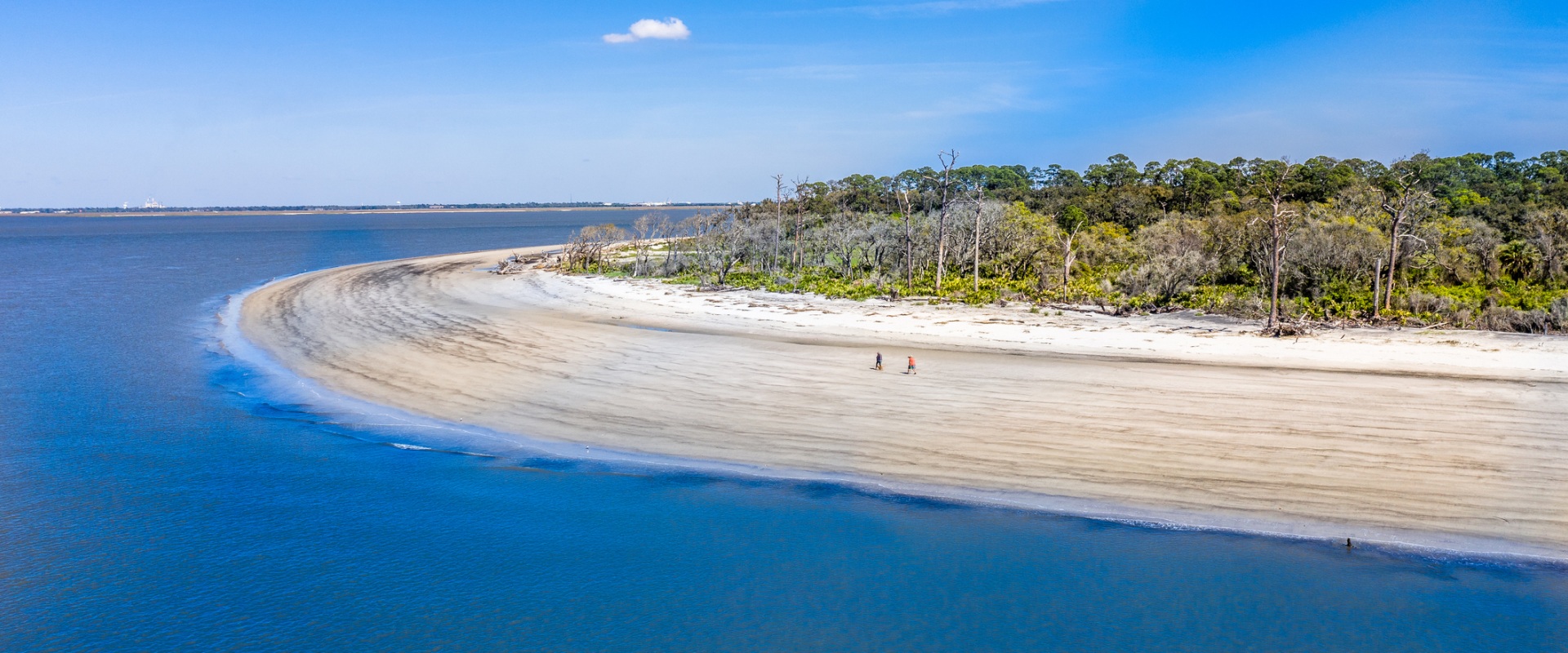 Exploring the Clear Waters of St. Simons Island