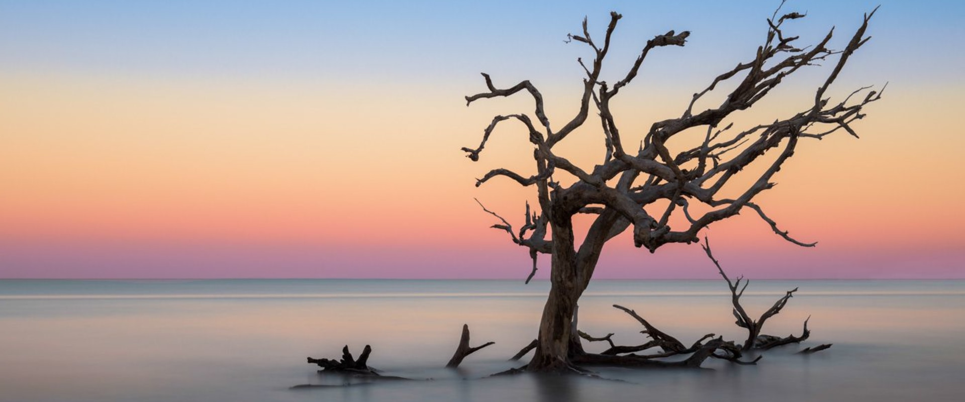 Exploring Jekyll Island: A Guide to Fees and Attractions