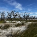 Exploring Georgia's Barrier Islands