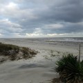 Exploring the Beaches of St. Simons Island