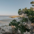 Exploring Georgia's Barrier Islands: A Guide for Nature Lovers