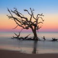 Exploring Jekyll Island: A Guide to Fees and Attractions