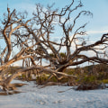 Exploring the Dry Counties of the United States