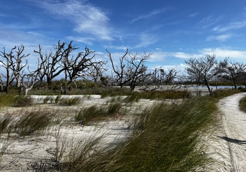 Exploring Georgia's Barrier Islands