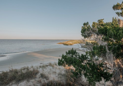 Exploring Georgia's Barrier Islands: A Guide for Nature Lovers