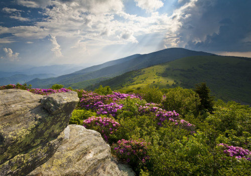 Exploring the Best Hiking Trails in the Southern US