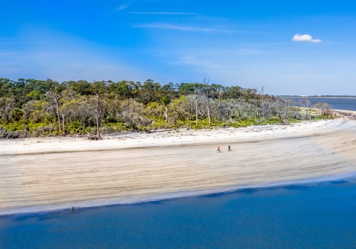 Exploring the Clear Waters of St. Simons Island