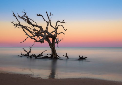 Exploring Jekyll Island: A Guide to Fees and Attractions