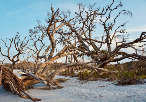 Exploring the Dry Counties of the United States