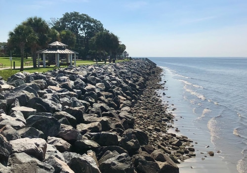 Exploring Georgia's Barrier Islands: A Local Expert's Guide