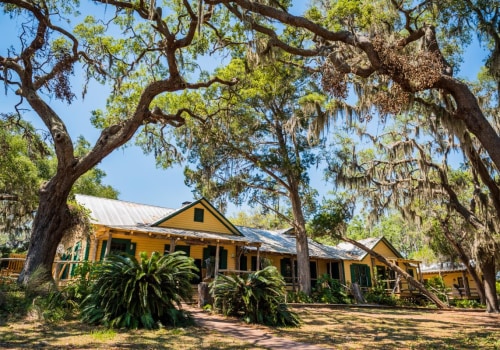 Exploring the Private Paradise of Little St. Simons Island